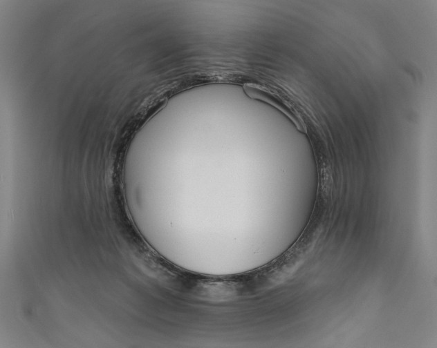 X0000111170221200907221035