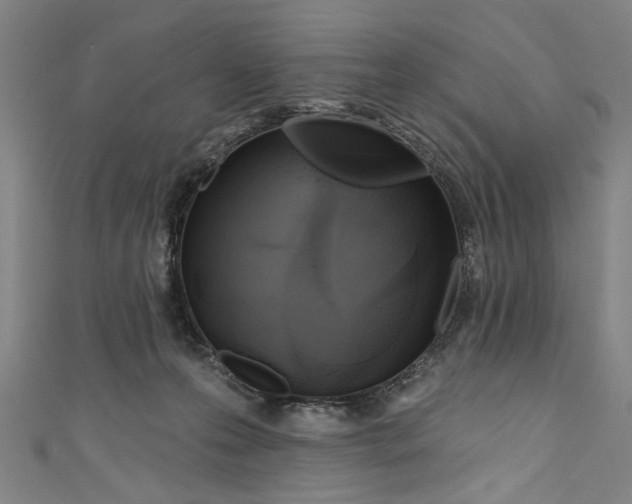 X0000111170223200907221034