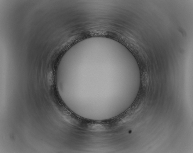 X0000111170224200907221034