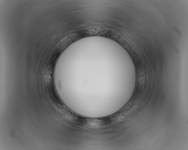 X0000111170226200907221034