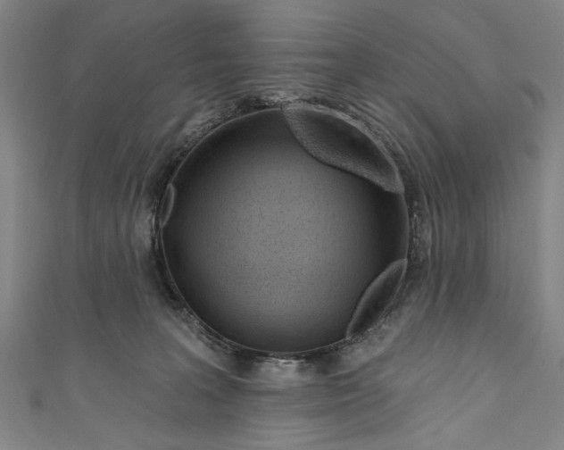 X0000111170227200907221034