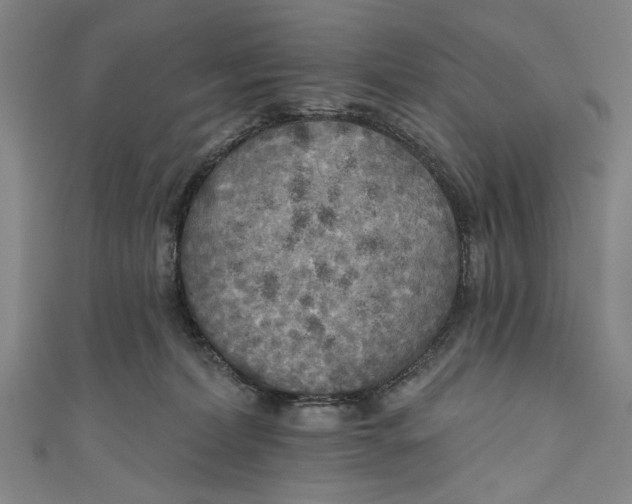 X0000111170228200907221034