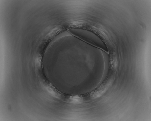 X0000111170231200907221034