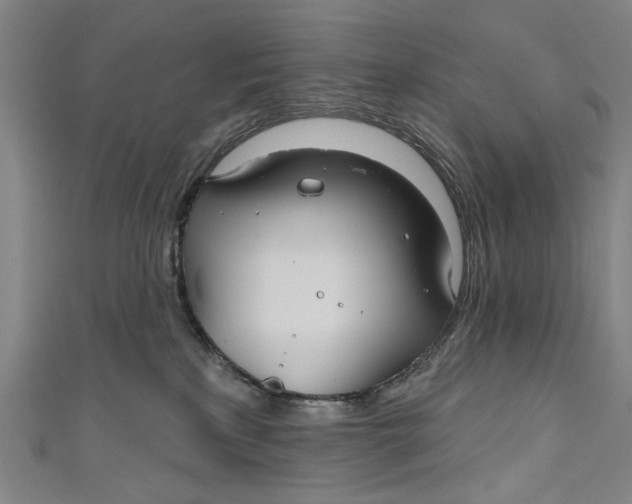 X0000111170233200907221034