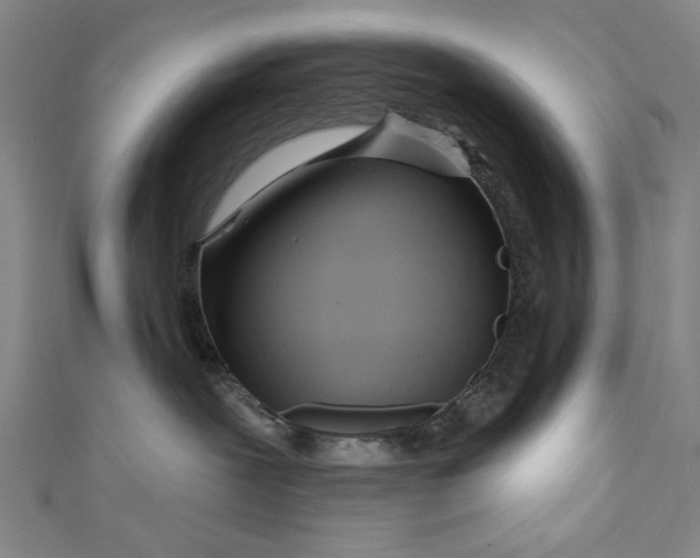 X0000111170239200907221034