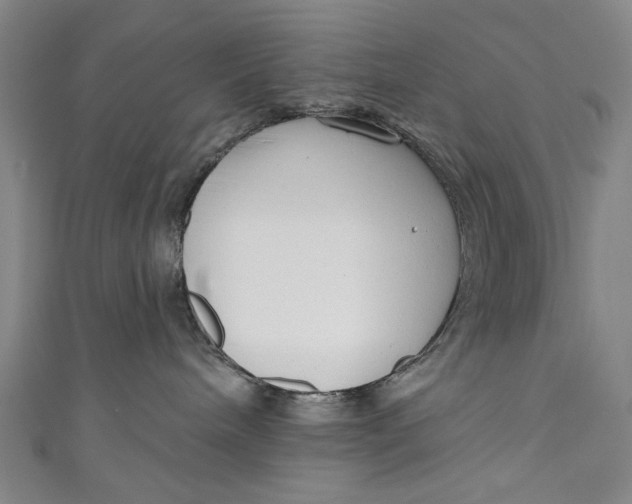 X0000111170240200907221034