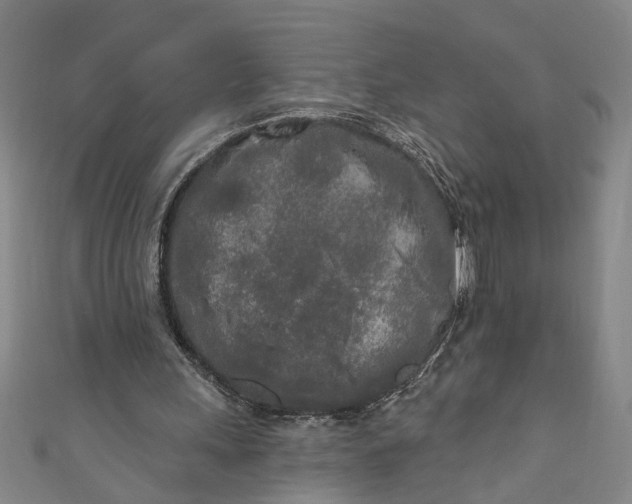 X0000111170243200907221034