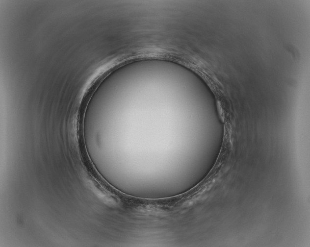 X0000111170244200907221034