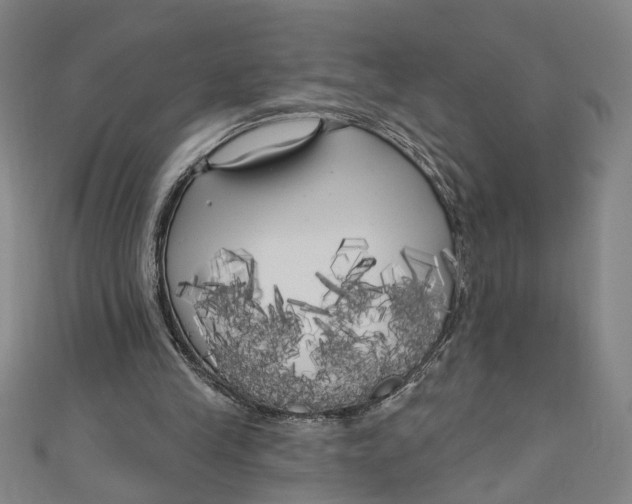 X0000111170245200907221034