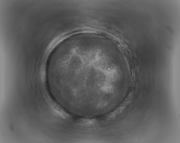 X0000111170247200907221034