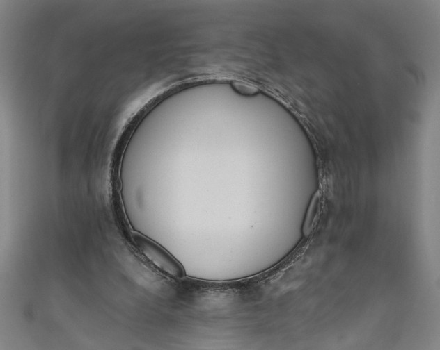 X0000111170248200907221034