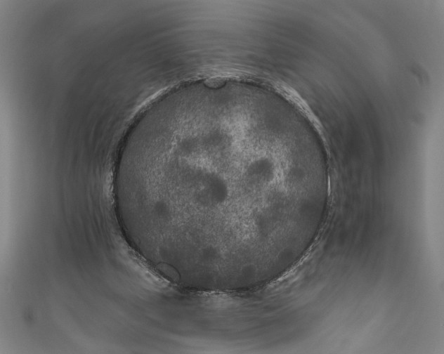 X0000111170249200907221034