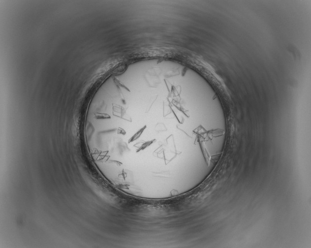 X0000111170250200907221034