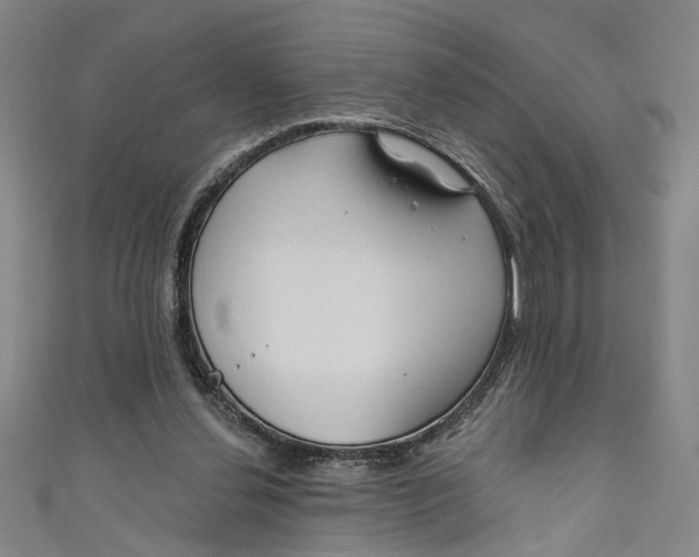 X0000111170252200907221034