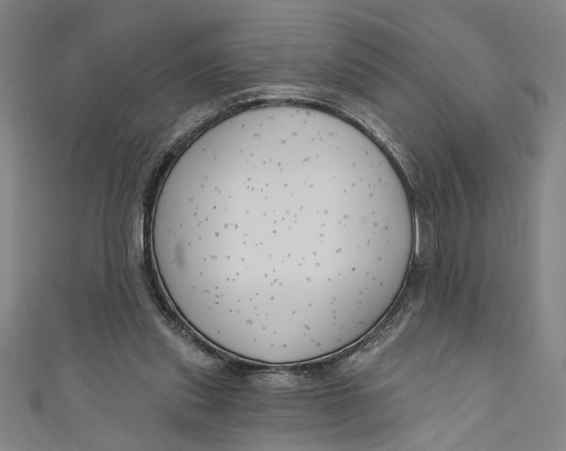 X0000111170253200907221034