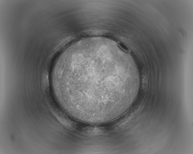 X0000111170254200907221034