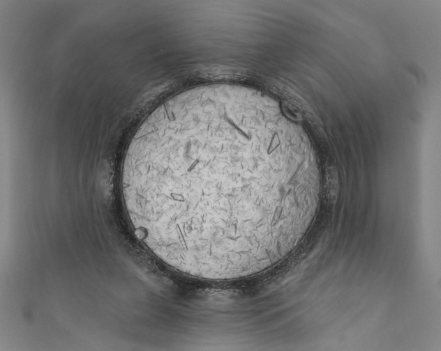 X0000111170255200907221034