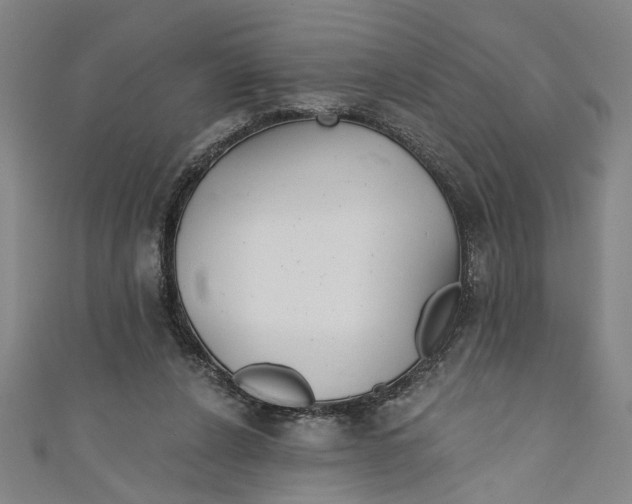 X0000111170256200907221034