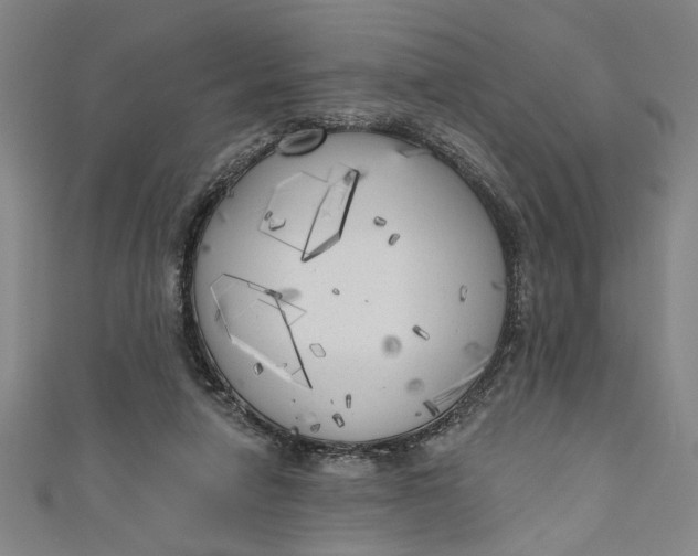 X0000111170258200907221034