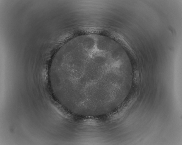 X0000111170259200907221034