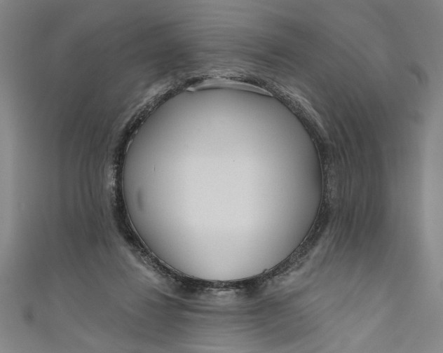 X0000111170260200907221034