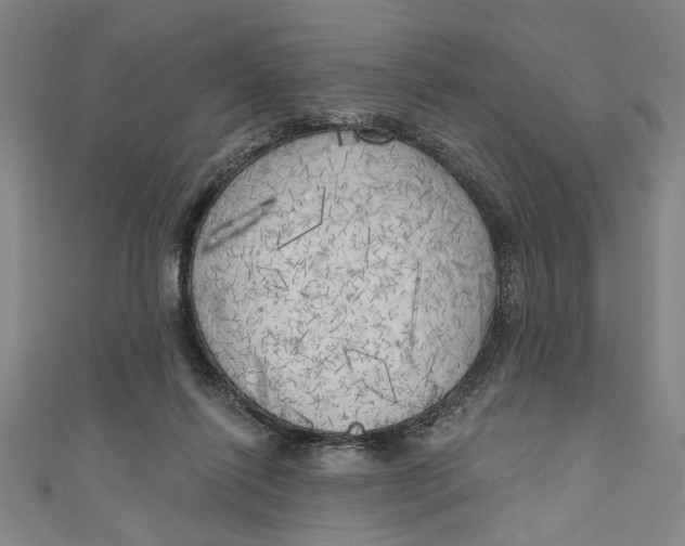 X0000111170262200907221034