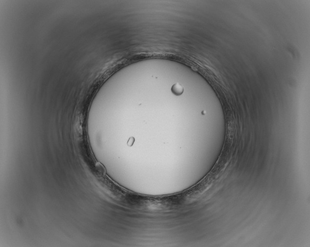 X0000111170264200907221034