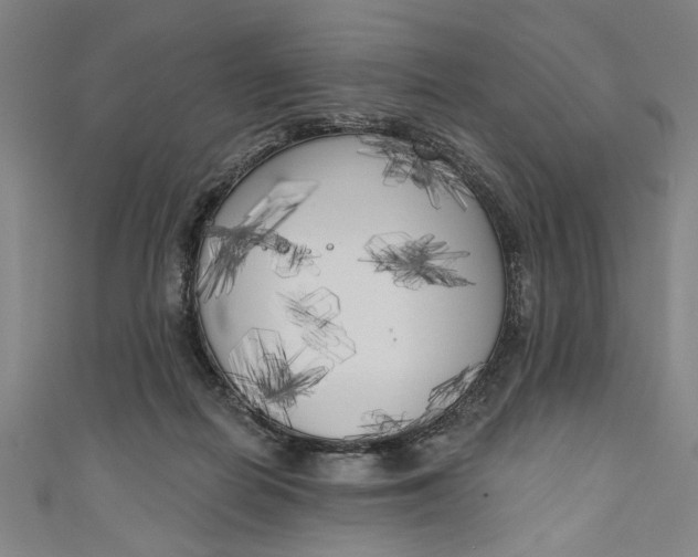 X0000111170266200907221034