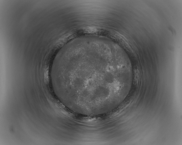 X0000111170267200907221034