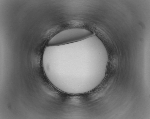 X0000111170268200907221034