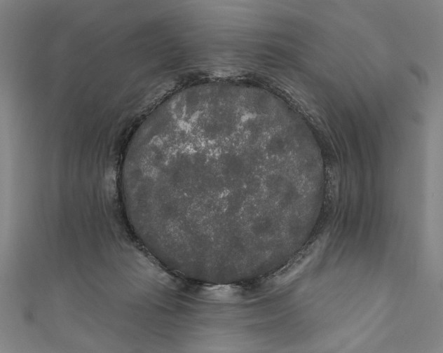 X0000111170269200907221034