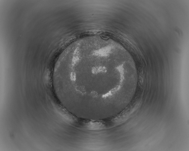 X0000111170270200907221034