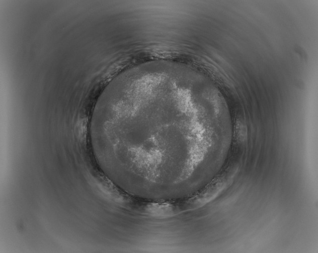 X0000111170271200907221034