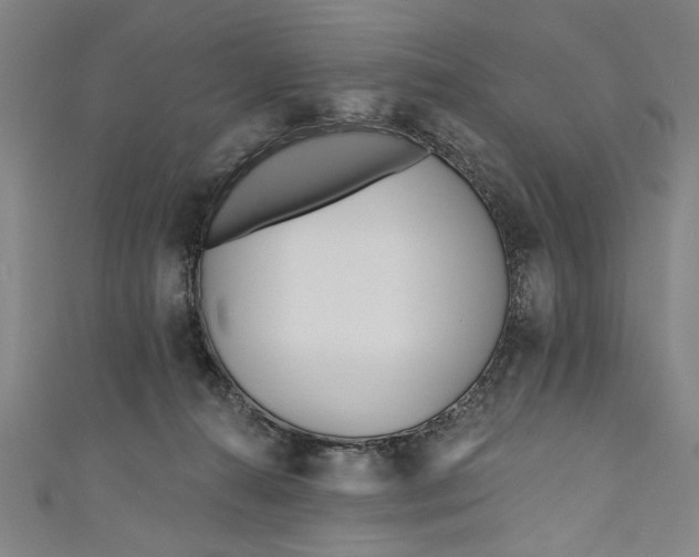 X0000111170272200907221034