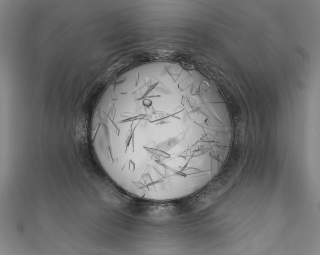 X0000111170274200907221034