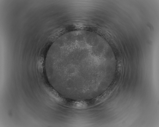 X0000111170275200907221034