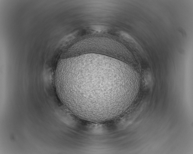 X0000111170276200907221034