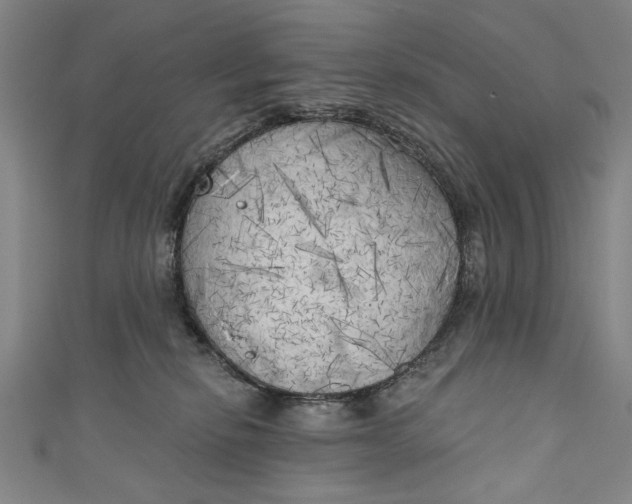 X0000111170278200907221034