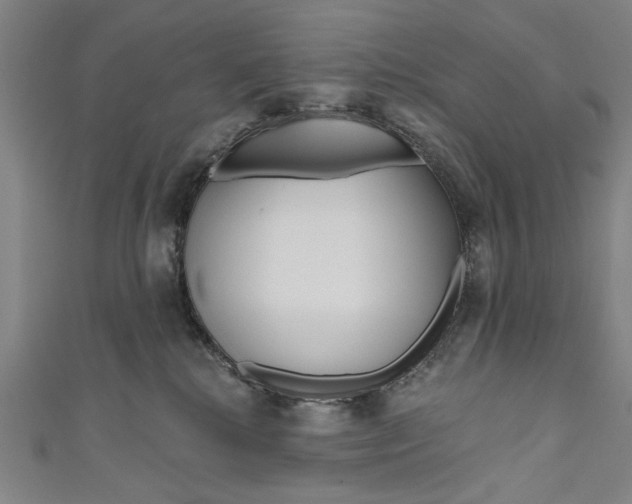 X0000111170280200907221034