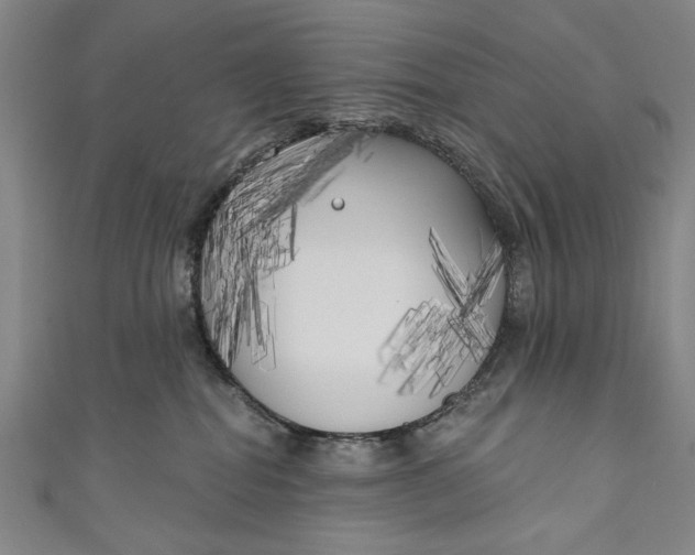 X0000111170282200907221034