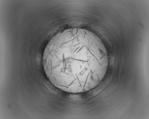 X0000111170283200907221034