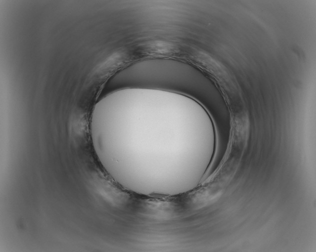 X0000111170284200907221034