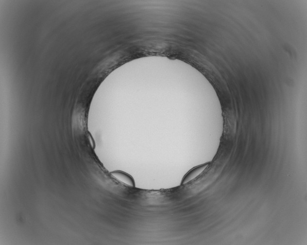 X0000111170287200907221034