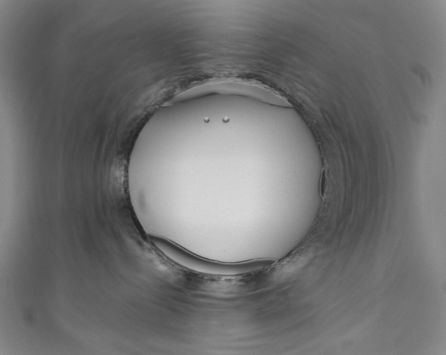 X0000111170288200907221034