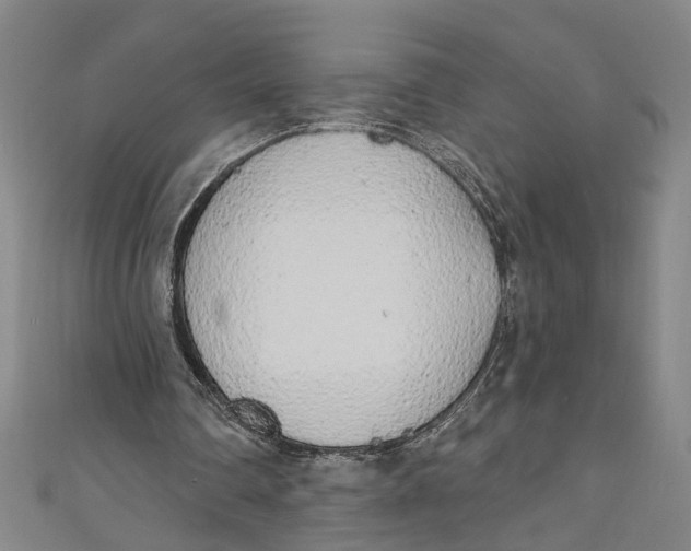 X0000111170290200907221034