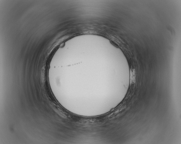 X0000111170291200907221034