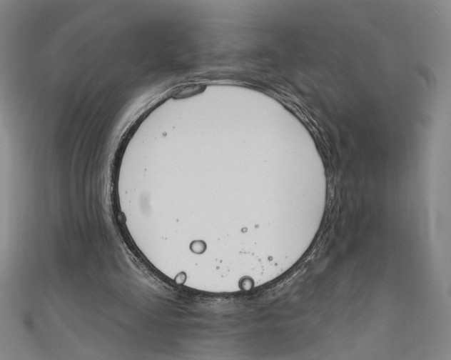 X0000111170293200907221034