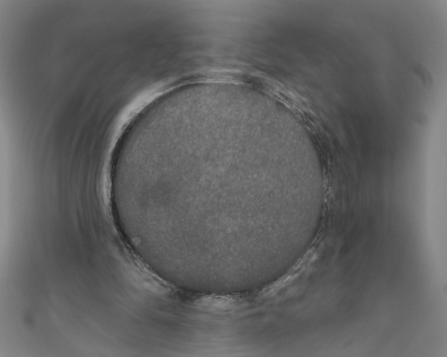 X0000111170294200907221034