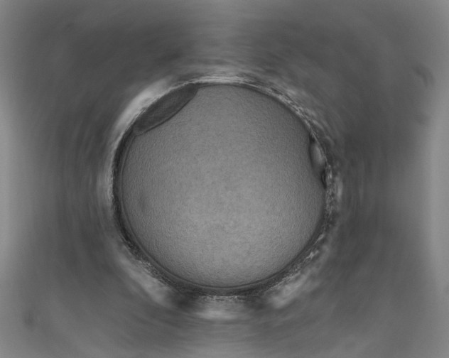 X0000111170296200907221034