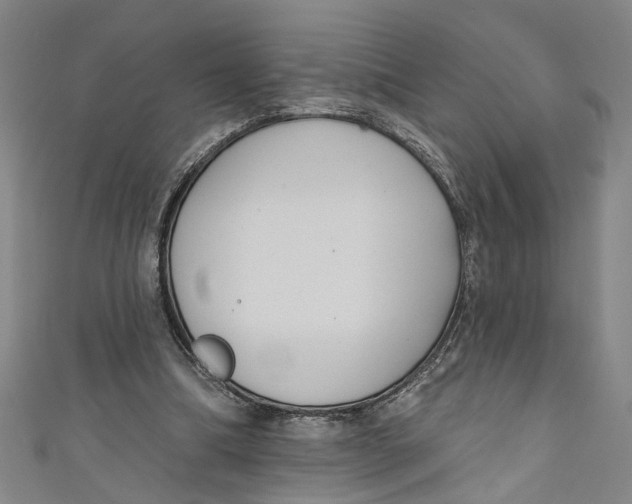 X0000111170298200907221034